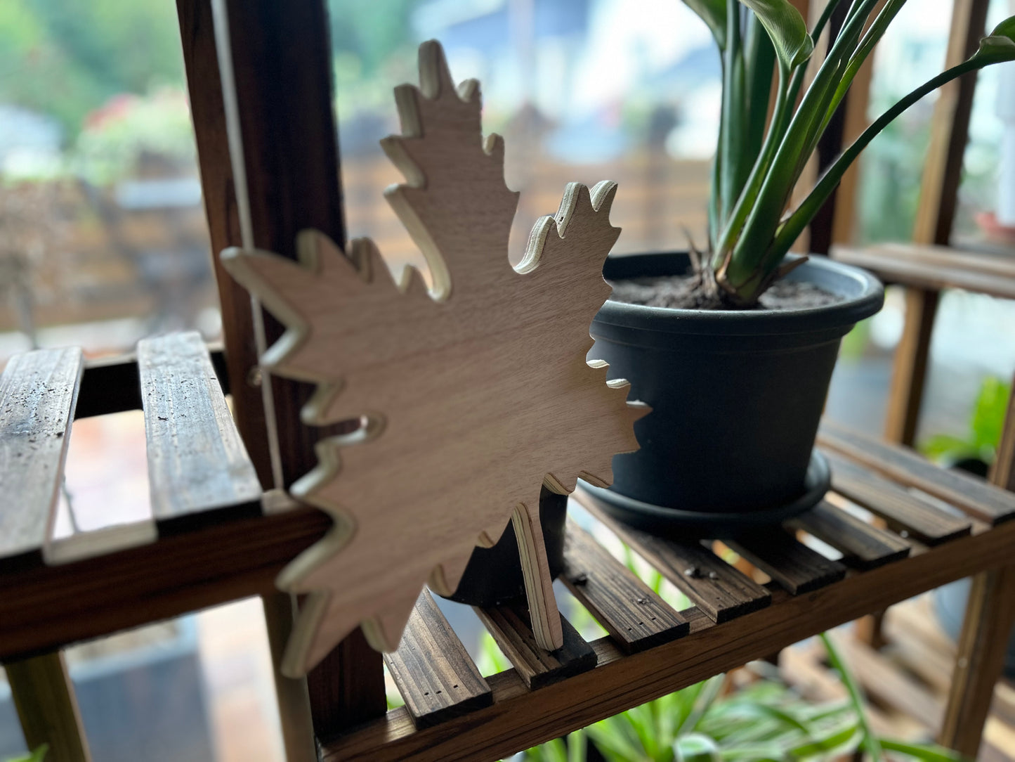 Feuille d'Érable en bois