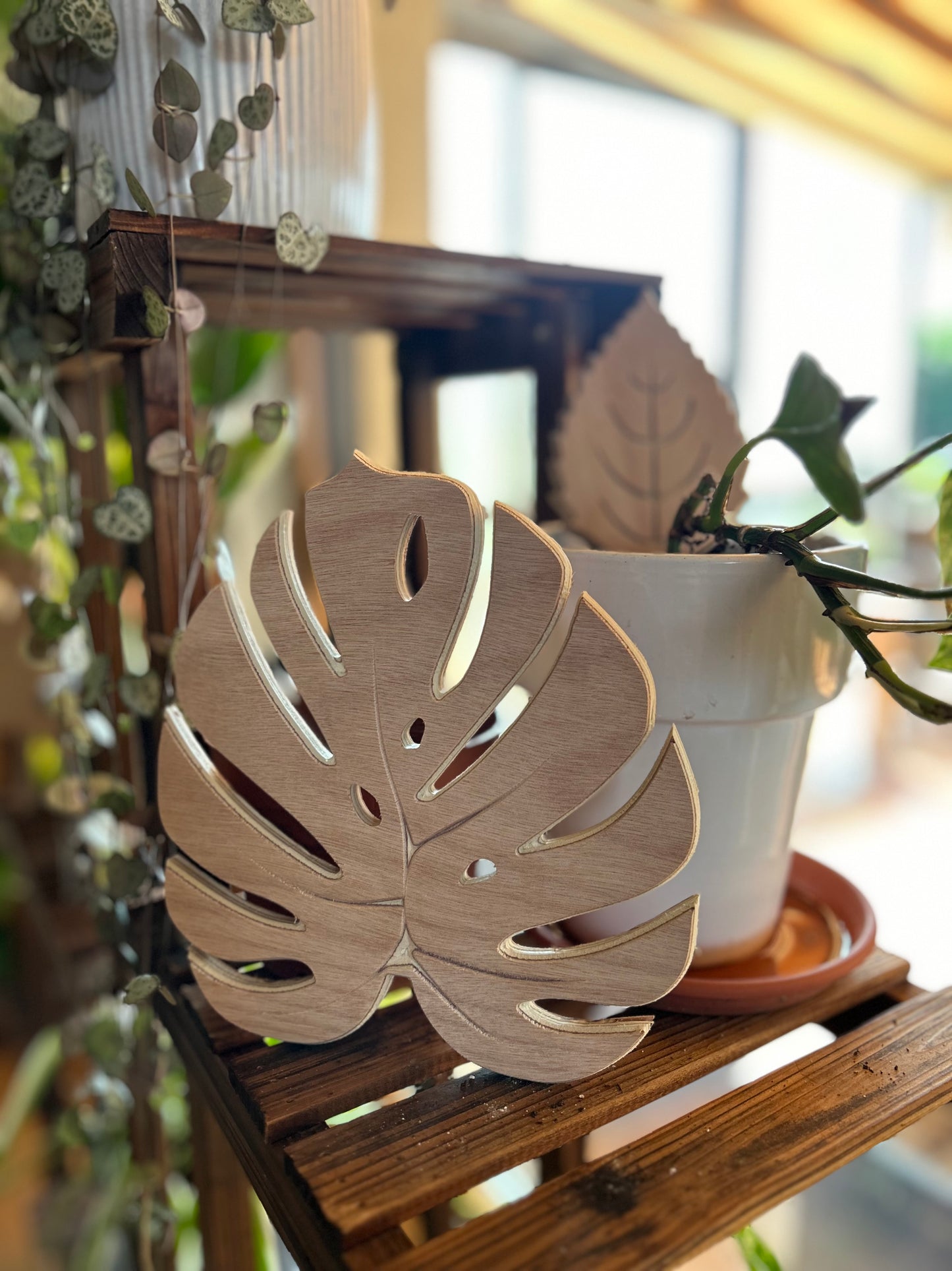 Feuille de Monstera en bois