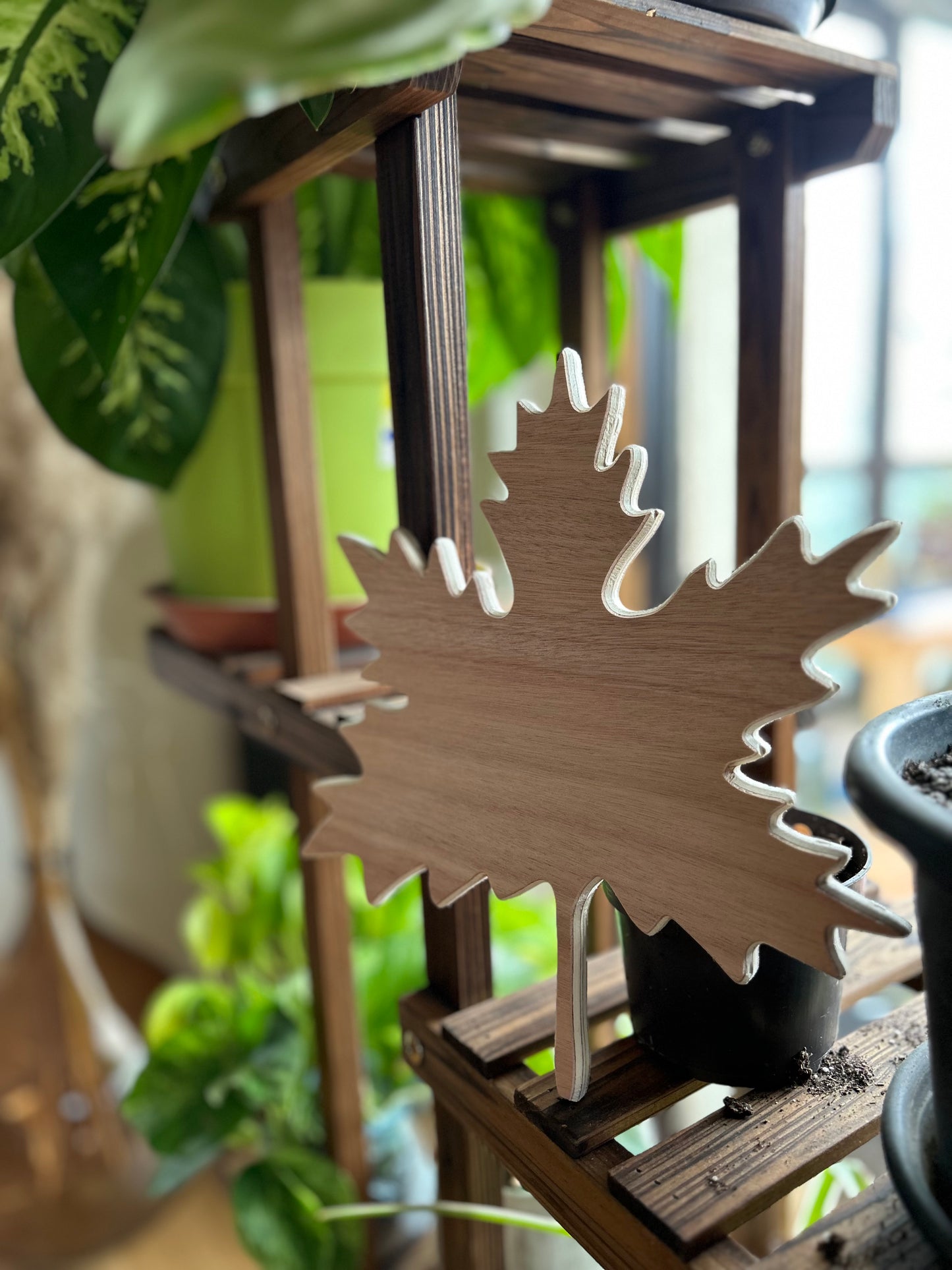 Feuille d'Érable en bois