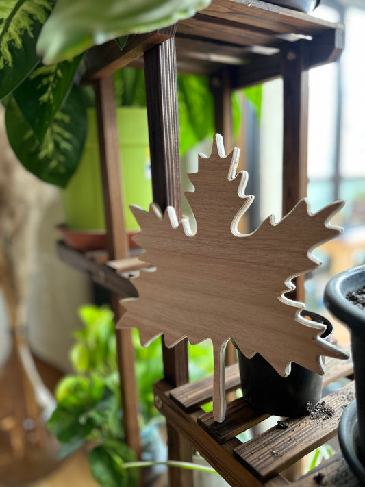 Feuille d'Érable en bois