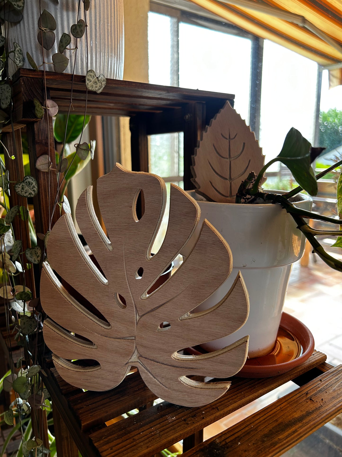Feuille de Monstera en bois